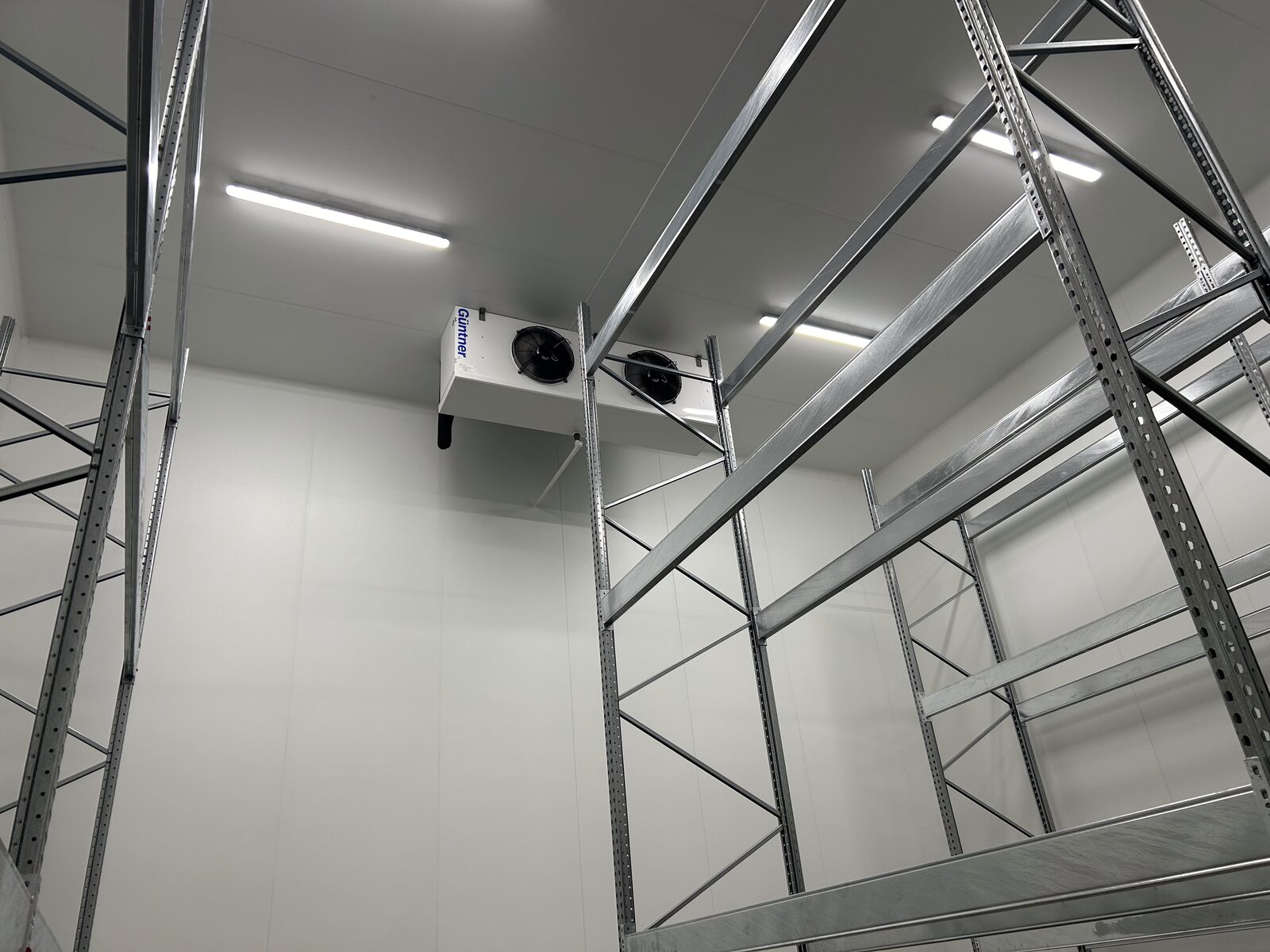 Cold Room Interior - Walk-in cold room with evaporator unit and storage racking