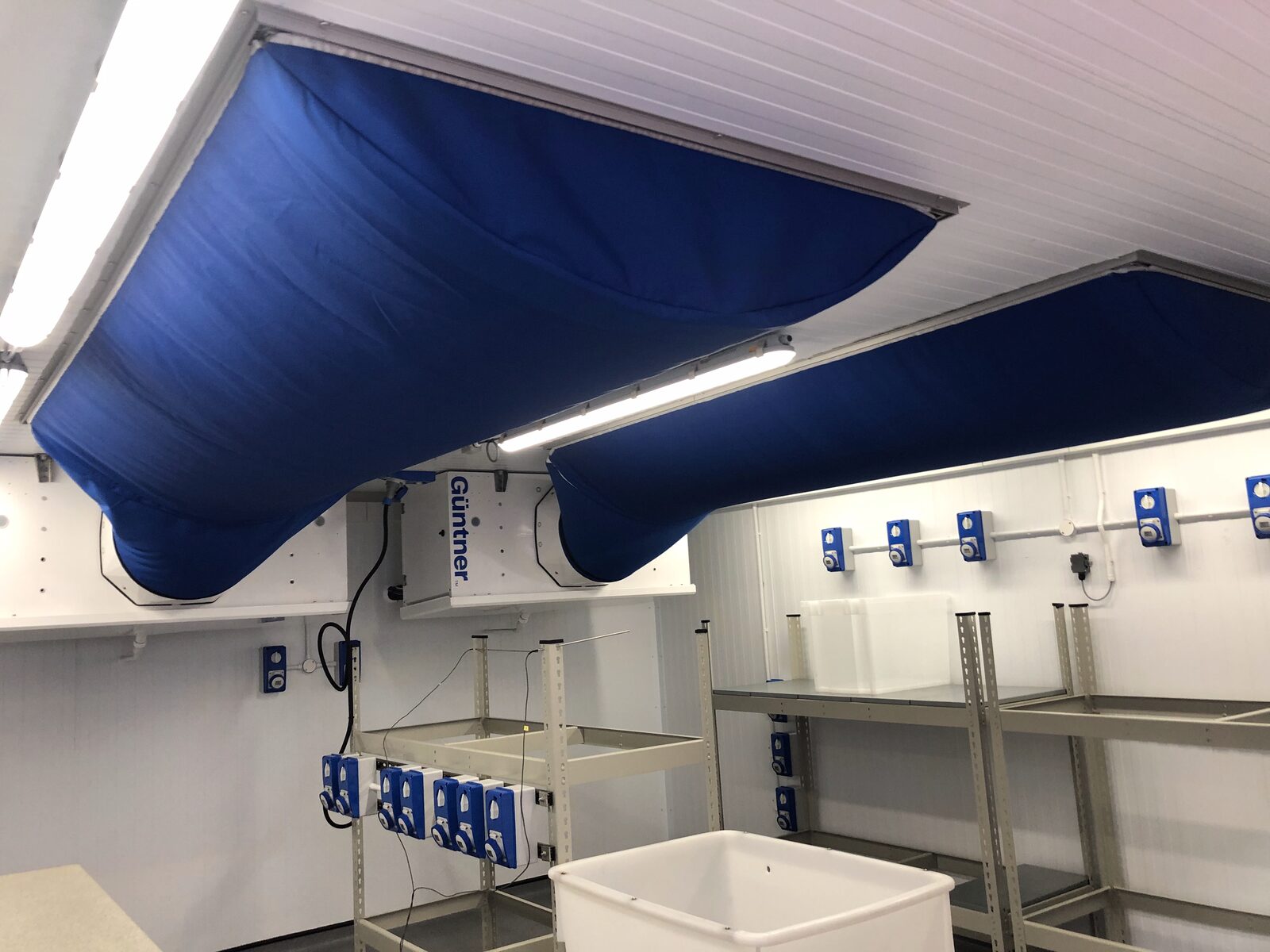 Blast Chilling Room - Güntner evaporators with blue air distribution socks for rapid cooling